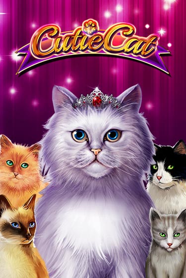 Cutie Cat демо игровой автомат | ВАВАДА Казино бесплатно